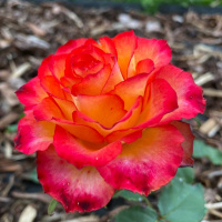 img-20220721-wa0003
