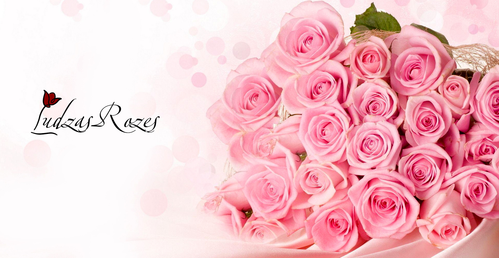 LUDZAS ROZES - OVER 20 YEARS OF CULTIVATION OF FLOWERS !