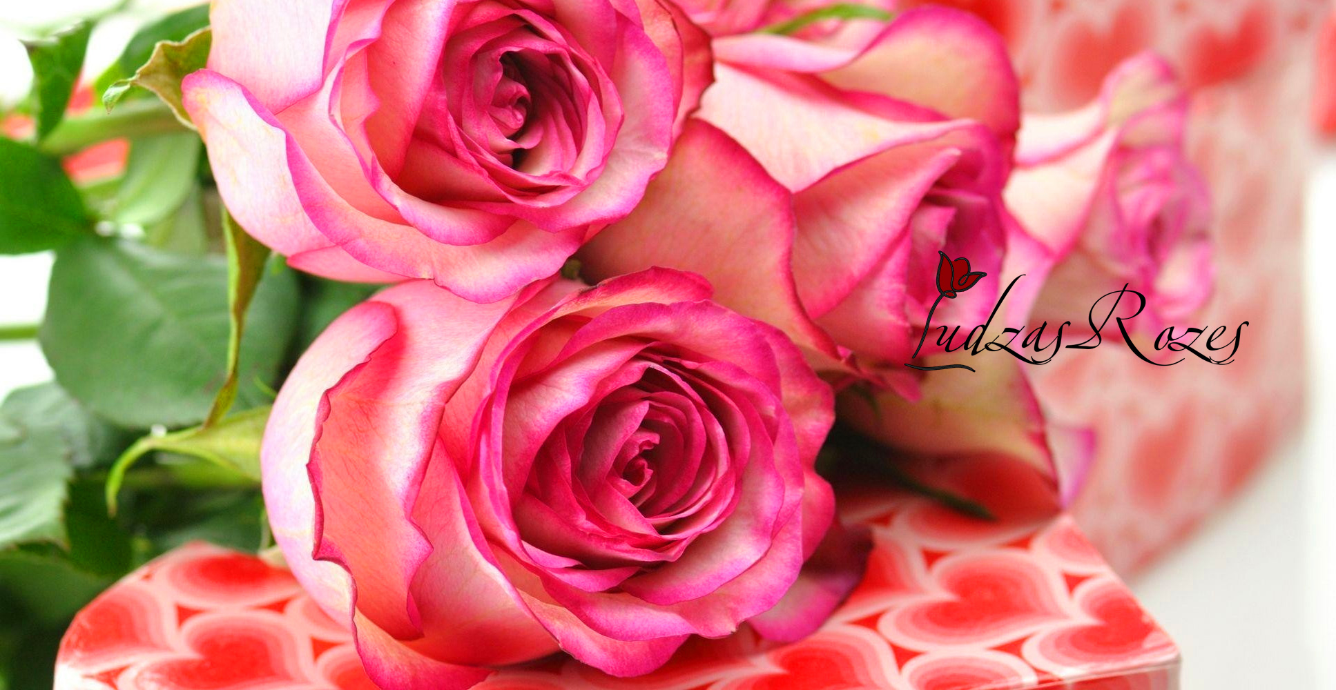 FLOWERS AS A GIFT !