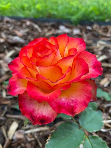 img-20220721-wa0003