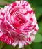 72550d70-6478-4c48-a8f8-9ea822c091fe