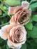 fb_img_1677182782863